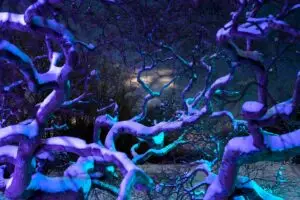 Art on 7th Contemporary Fine Art Gallery presents Daniel Iyari's Lucid Dream