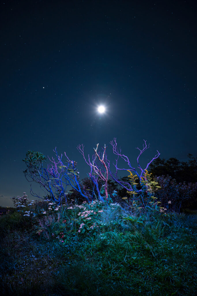 Daniel Iyari is a featured artist at Art on 7th Art Gallery - Midnight Goddess