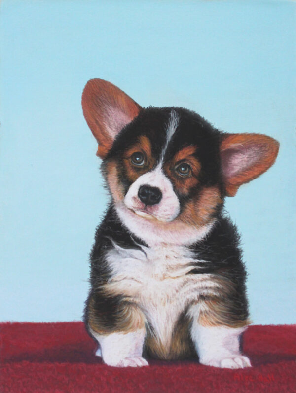 GROWING INTO MY EARS