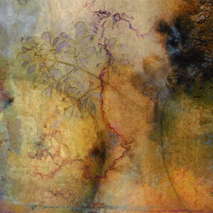 SOLITARY GRACE WITH RUE