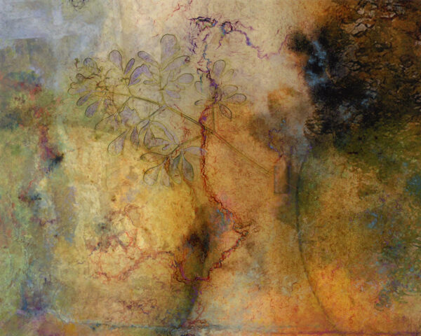 SOLITARY GRACE WITH RUE