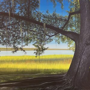 MYAKKA RIVER MEMORY