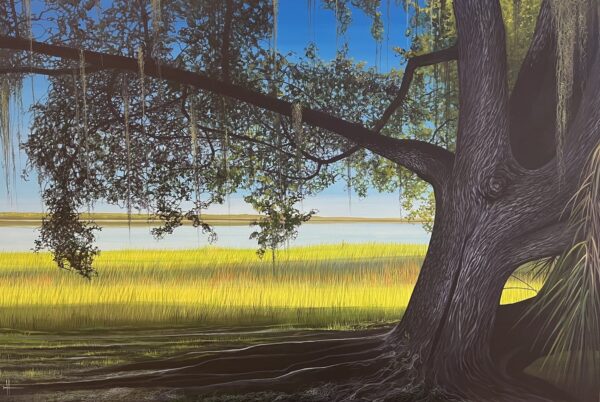 MYAKKA RIVER MEMORY