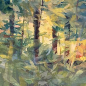 GENTLE BREEZES