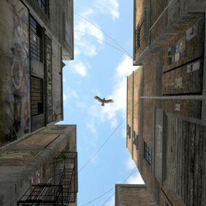 AFTERNOON ALLEY