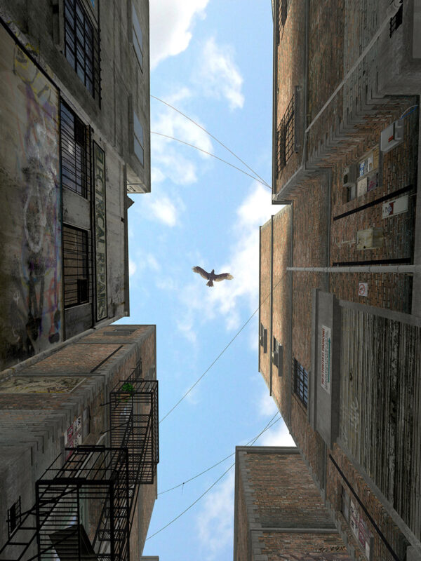 AFTERNOON ALLEY