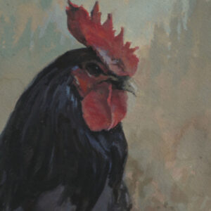 BLACK ROOSTER