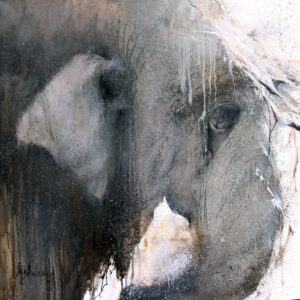 ELEPHANT SONG