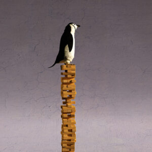 EQUILLIBRIUM V PENGUIN