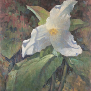 WHITE TRILLIUM