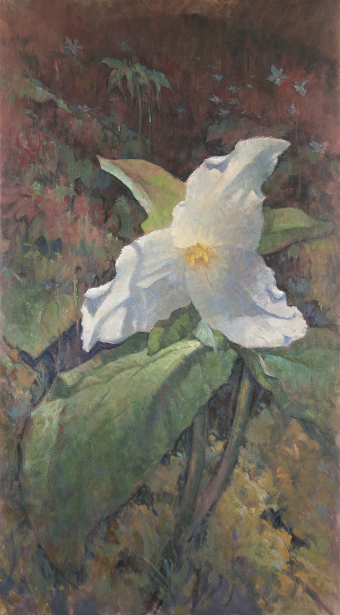 WHITE TRILLIUM