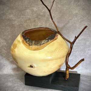HURRICANE HELENE SERIES, SWEET BIRCH
