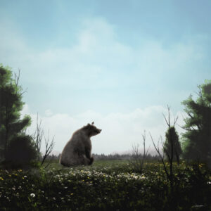 LITTLE BEAR