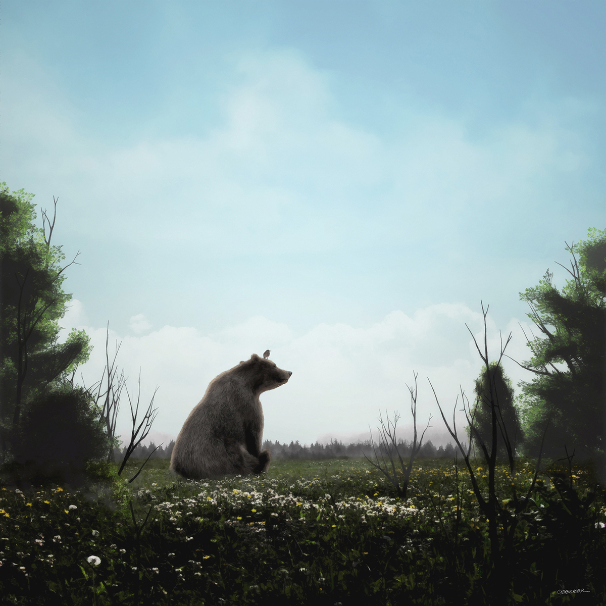 LITTLE BEAR