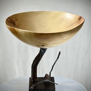 POLISHED SWEET BIRCH