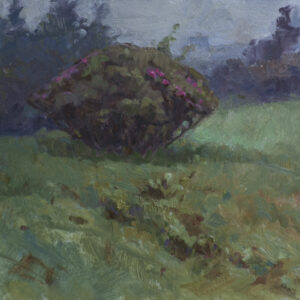 EARLY BLOOM, ROAN MOUNTAIN