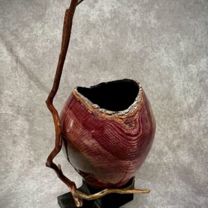HURRICANE HELENE SERIES I, WHITE OAKHOLLOW FORM