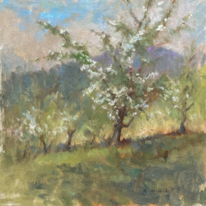 APPLE COUNTRY BLOSSOMS