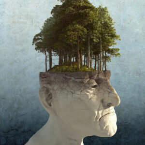 PERSONAL GROWTH