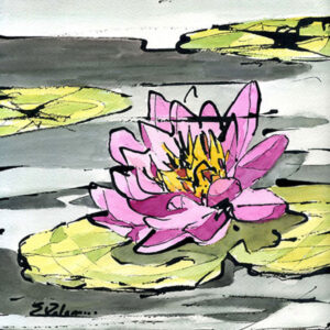 LOTUS IN FUSCHIA