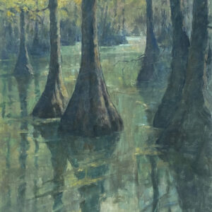Cypress Swamp