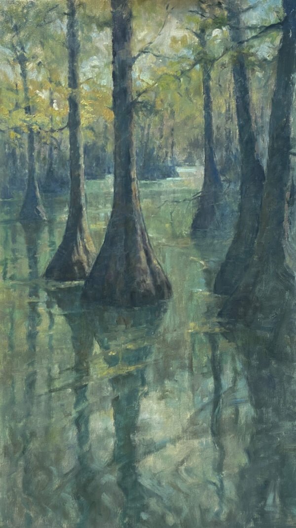 Cypress Swamp