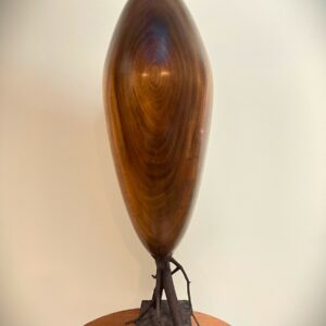 SYCAMORE HOLLOW FORM ON MOUNTAIN LAUREL