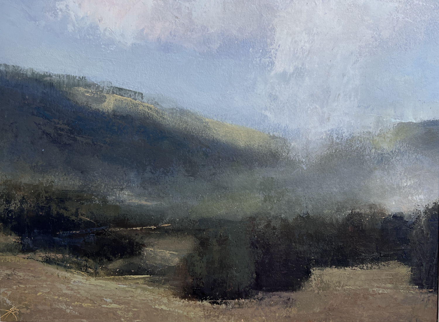 Valley Mist