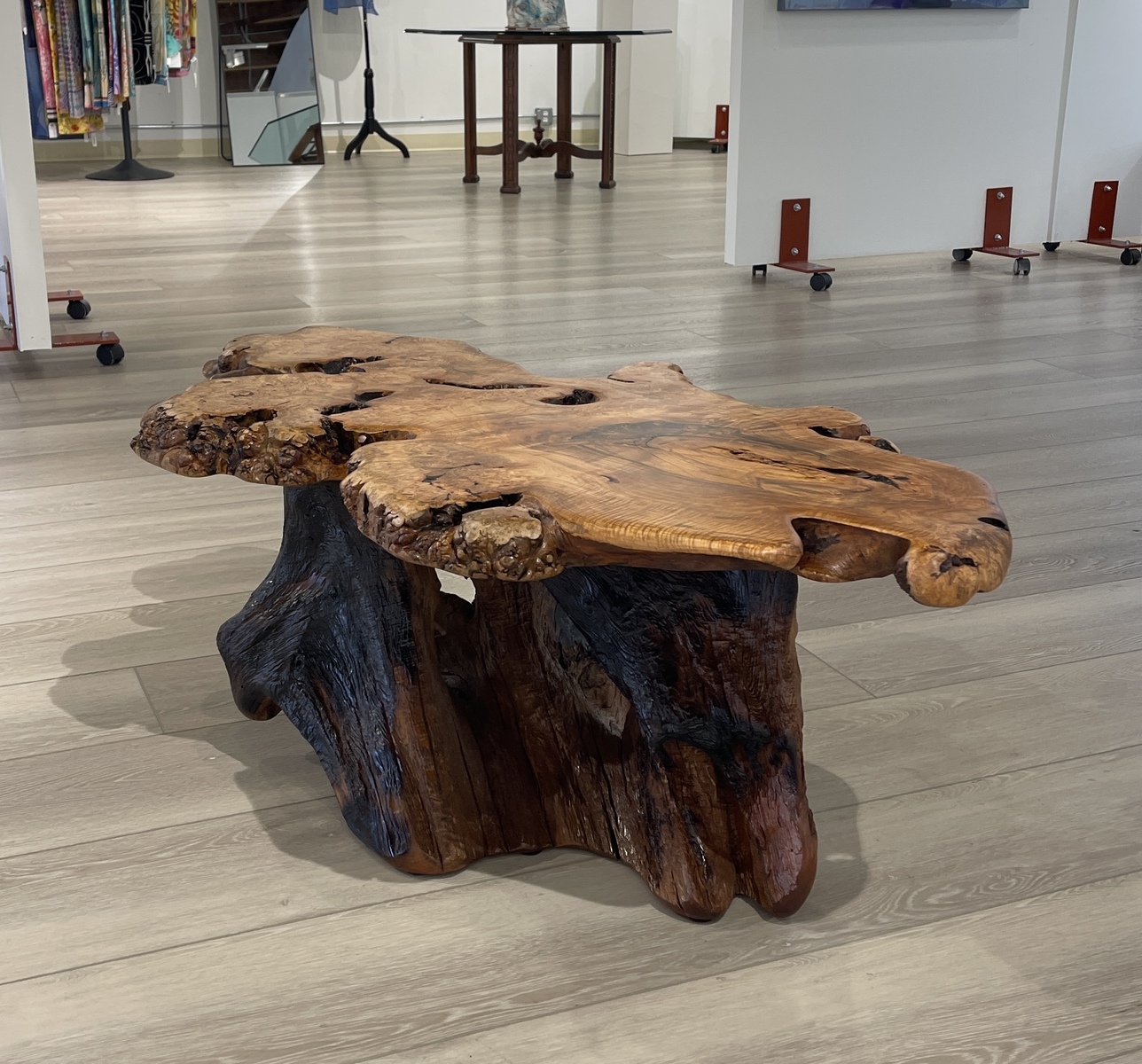 AMBROSIA HARD ROCK BURL COFFEE TABLE