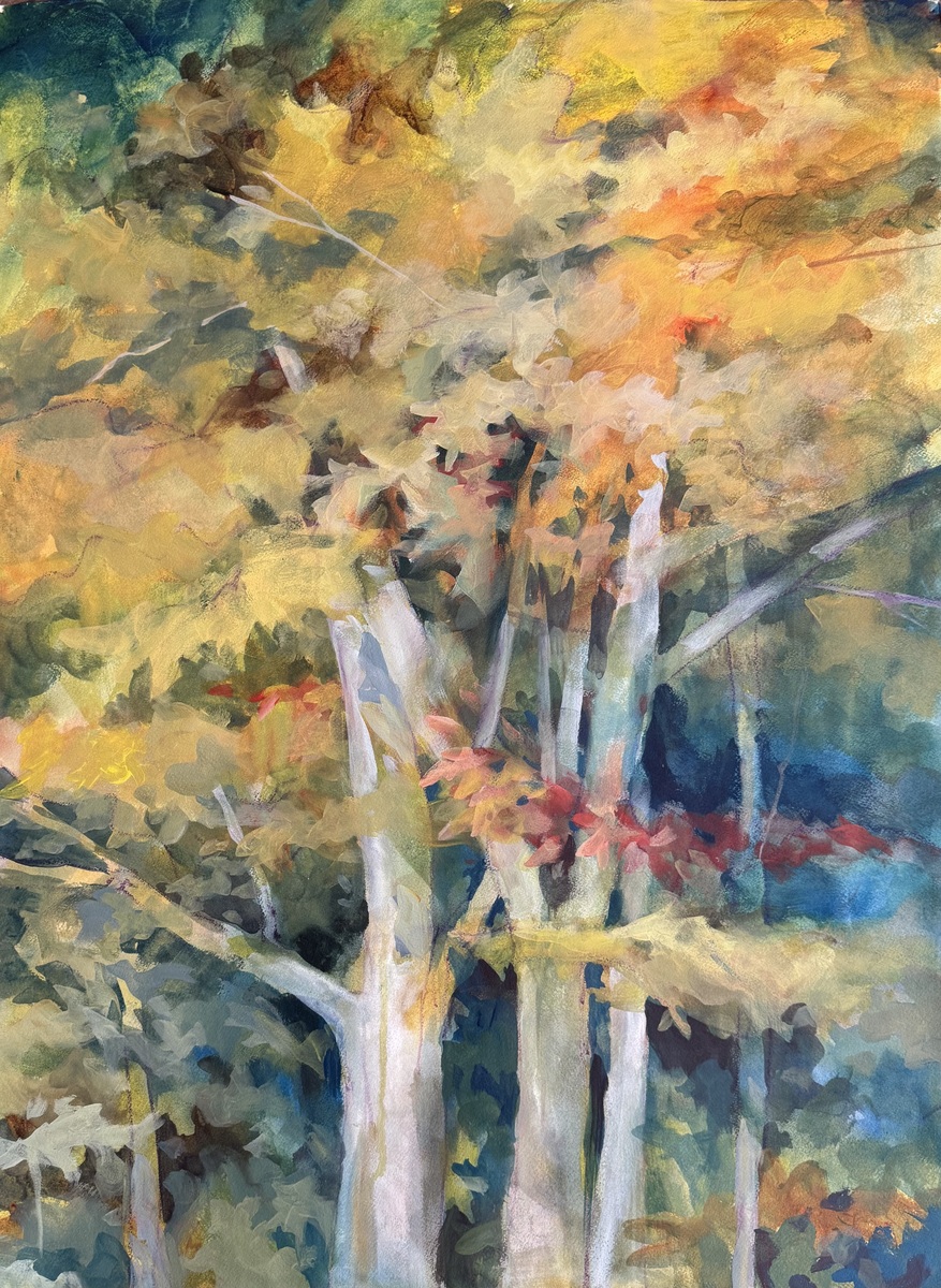 WHAT A LITTLE SUNSHINE WILL DO