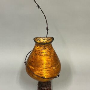 Ambrosia Maple and Barbed Wire