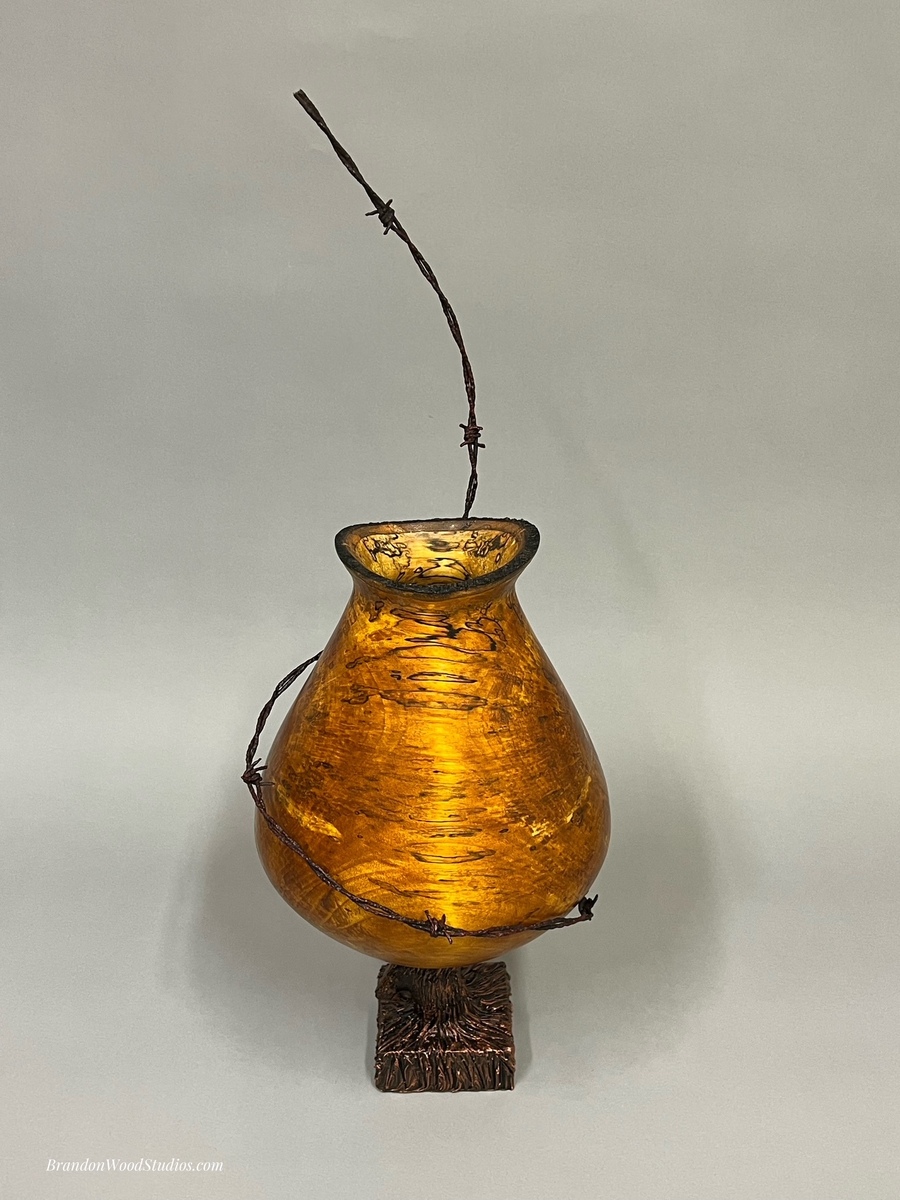 Ambrosia Maple and Barbed Wire