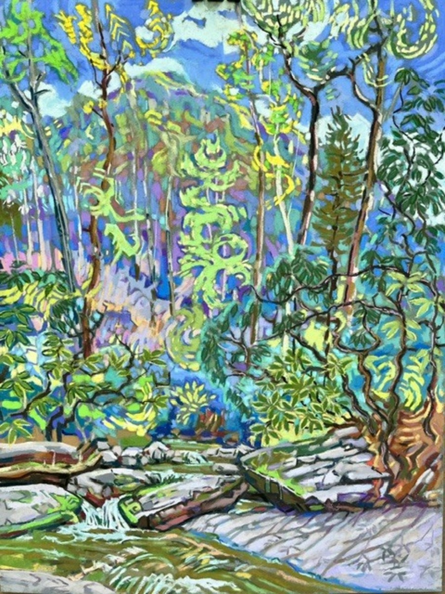 Cove Creek - Pisgah Forest